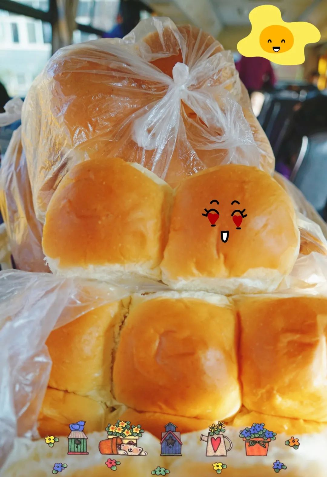遇見春天 感受牧場(chǎng)生命能量—洛陽東外小學(xué)部研學(xué)系列活動(dòng)(二)